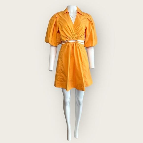 NWT | Jonathan Sinkhai | Aulora Cutout Poplin Mini Dress | Zinnia | Medium - Picture 2 of 16